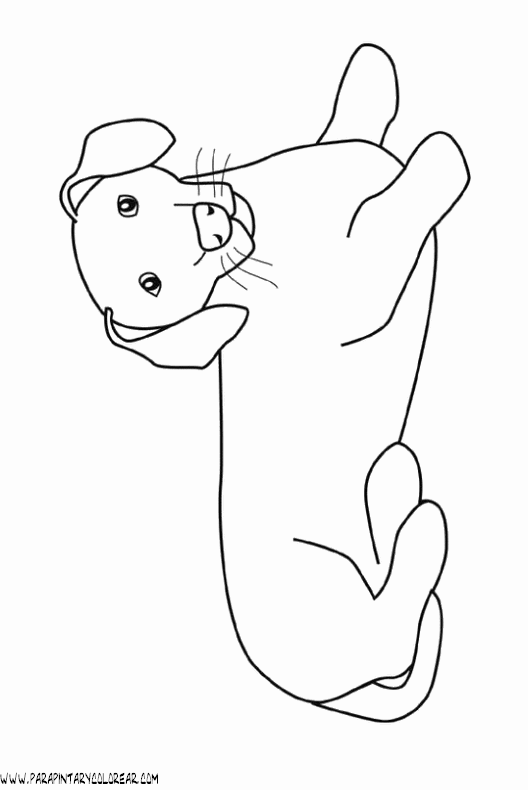 dibujos-de-perros-93.gif