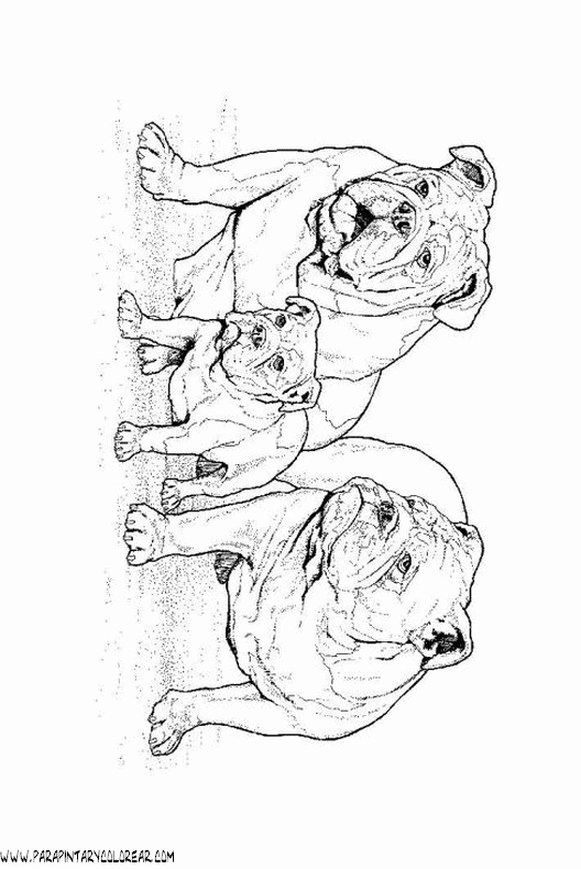 dibujos-de-perros-95.gif