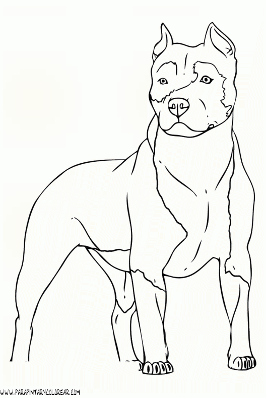 dibujos-de-perros-98