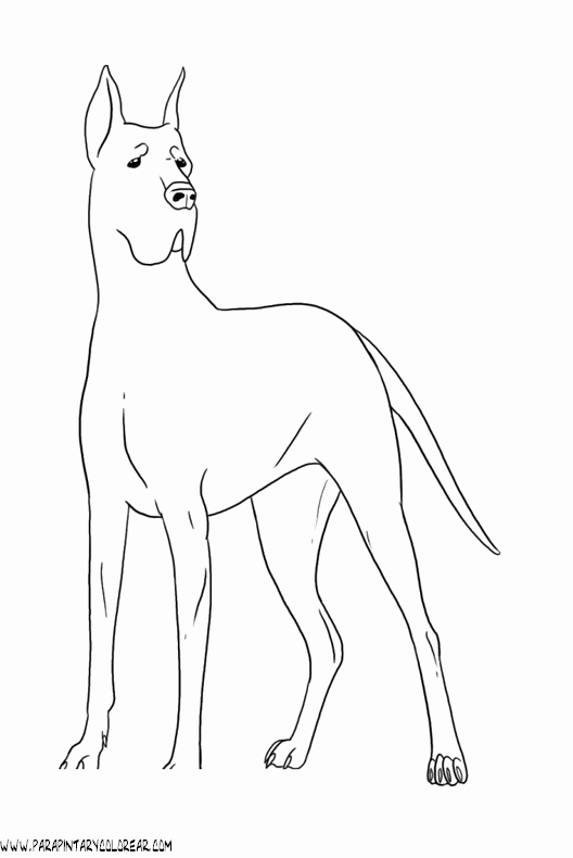dibujos-de-perros-99.gif
