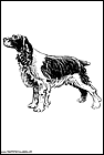 dibujos-de-perros-204.gif