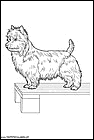 dibujos-de-perros-221.gif