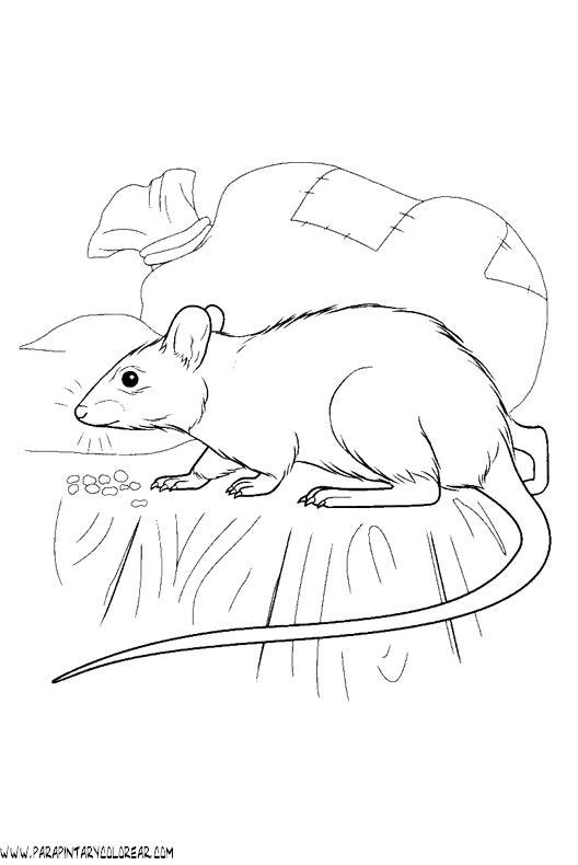 dibujos-de-ratones-20.gif