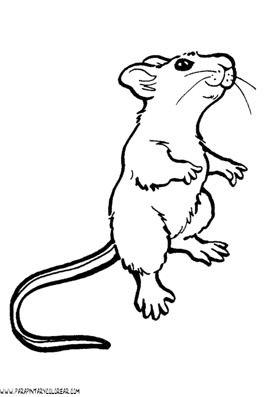 dibujos-de-ratones-28.gif