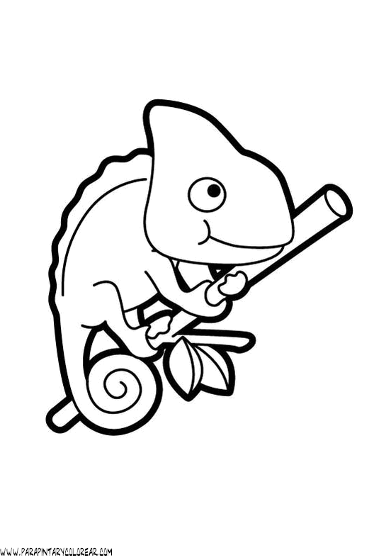 dibujos-de-camaleones-001.gif
