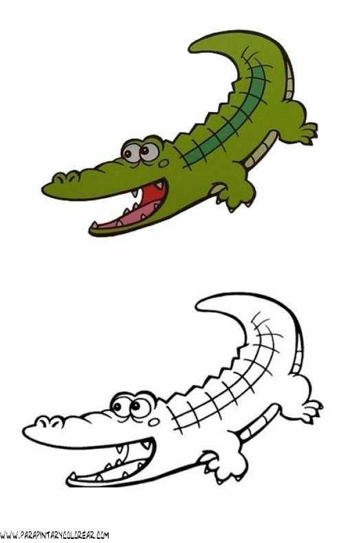 dibujos-de-cocodrilos-035.gif