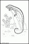 dibujos-de-lagartos-01.gif