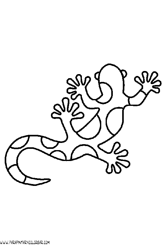 dibujos-de-salamandras-05.gif