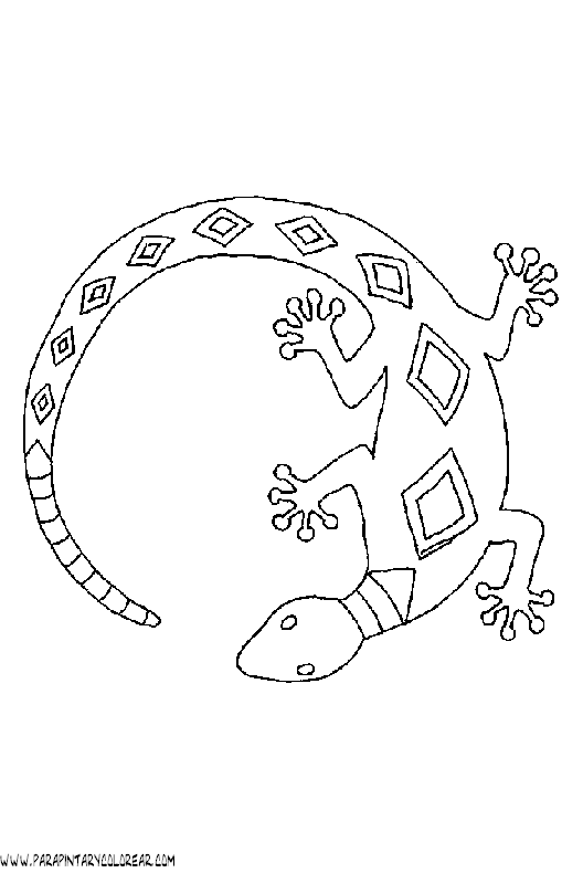 dibujos-de-salamandras-06.gif