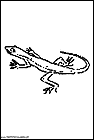 dibujos-de-salamandras-02.gif