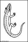 dibujos-de-salamandras-04.gif
