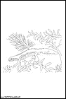 dibujos-de-salamandras-08.gif