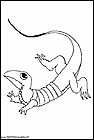 dibujos-de-salamandras-12.gif
