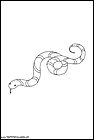 dibujos-de-serpientes-012.gif