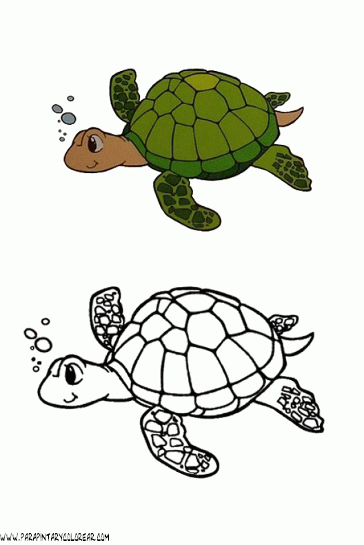 a4dibujos-de-tortugas-002.gif