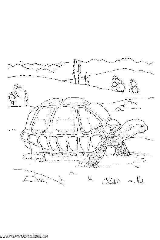 dibujos-de-tortugas-010.gif