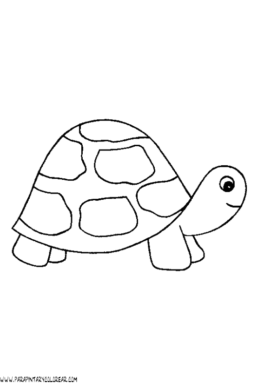 dibujos-de-tortugas-016.gif