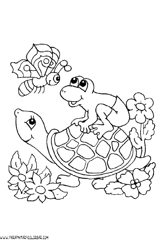 dibujos-de-tortugas-026.gif