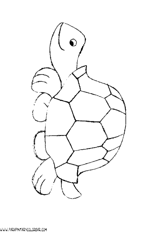 dibujos-de-tortugas-027.gif