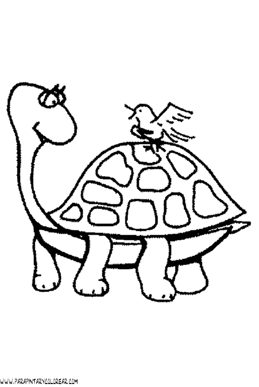 dibujos-de-tortugas-028.gif