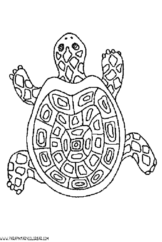 dibujos-de-tortugas-029.gif