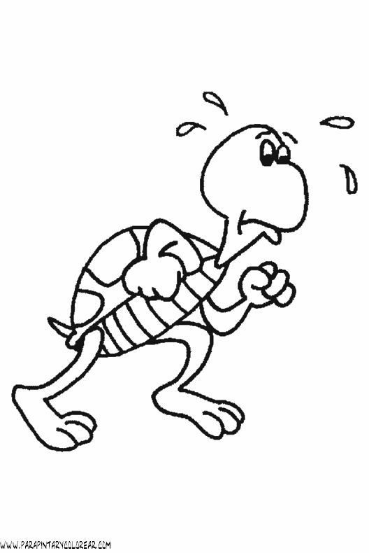 dibujos-de-tortugas-049.gif