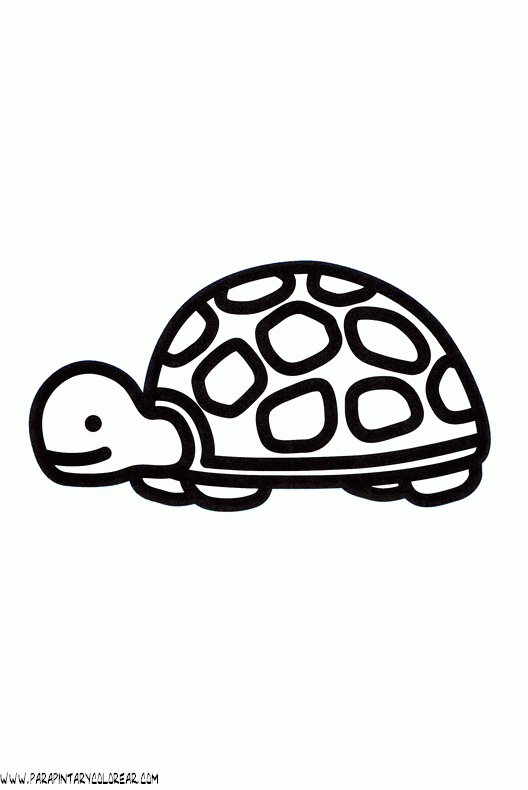 dibujos-de-tortugas-070.gif