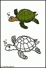 a4dibujos-de-tortugas-002.gif