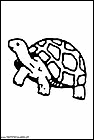 dibujos-de-tortugas-025.gif