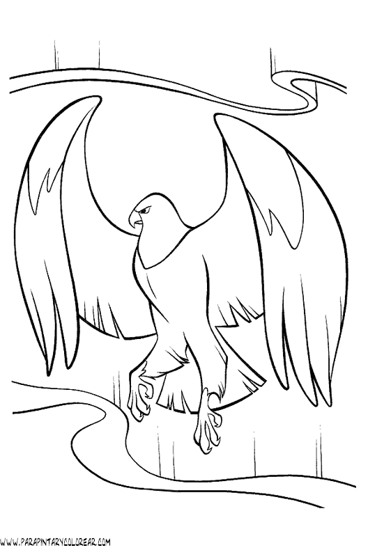 dibujos-para-colorear-de-aguilas-006.gif