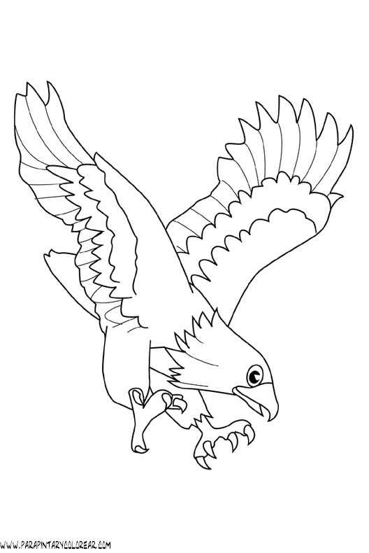 dibujos-para-colorear-de-aguilas-013.gif