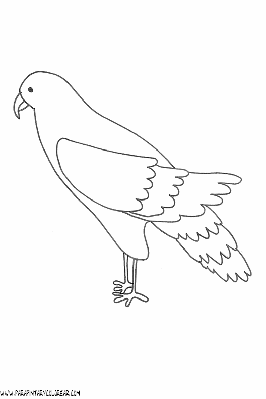 dibujos-para-pintar-de-alcones-007.gif