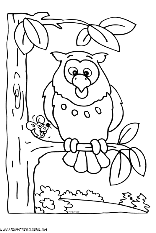 dibujos-de-buhos-05.gif