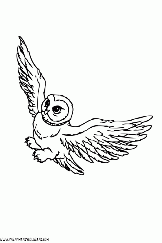 dibujos-de-buhos-27.gif