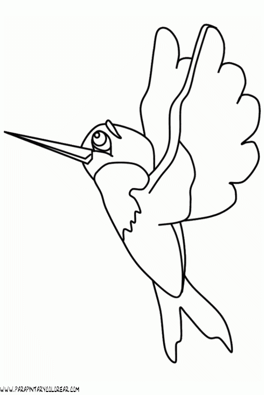 dibujos-de-colibris-04.gif