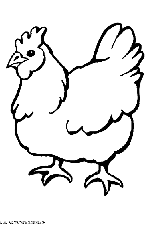 dibujos-de-gallinas-06