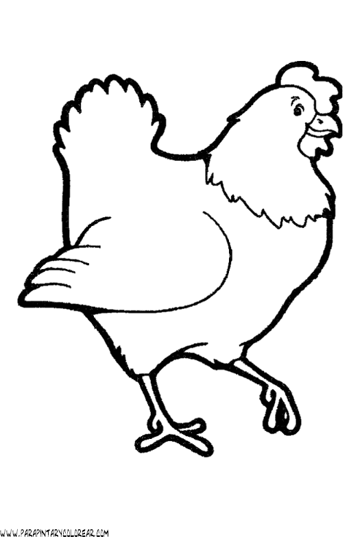 dibujos-de-gallinas-14.gif