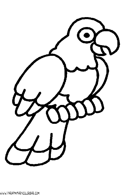 dibujos-de-loros-17.gif