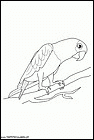 dibujos-de-loros-13.gif