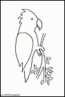dibujos-de-loros-19.gif