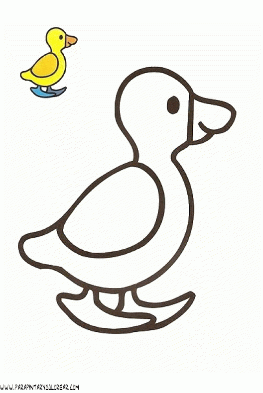 dibujos-de-patos-01.gif