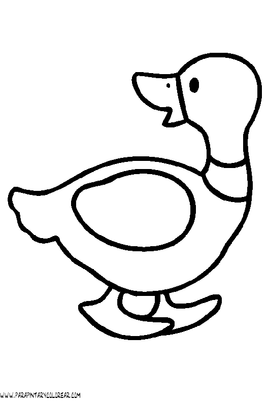 dibujos-de-patos-03.gif