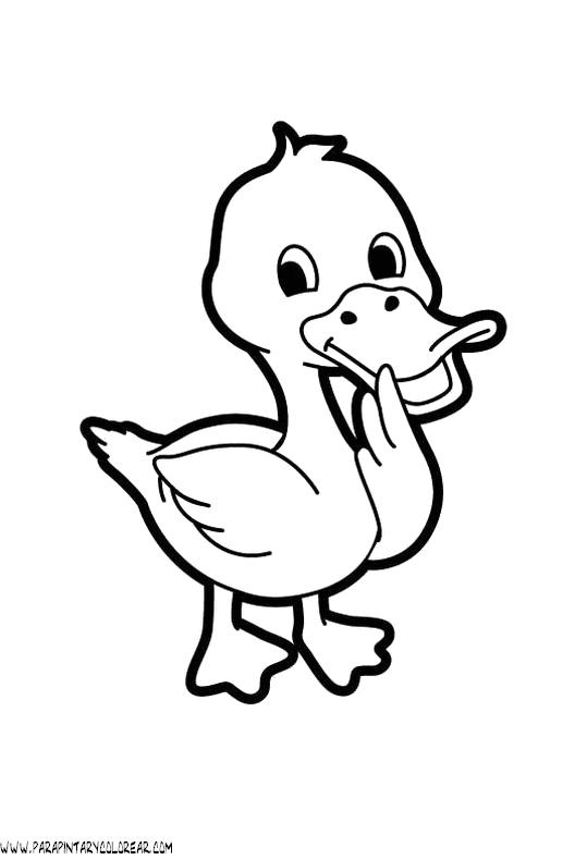 dibujos-de-patos-04.gif