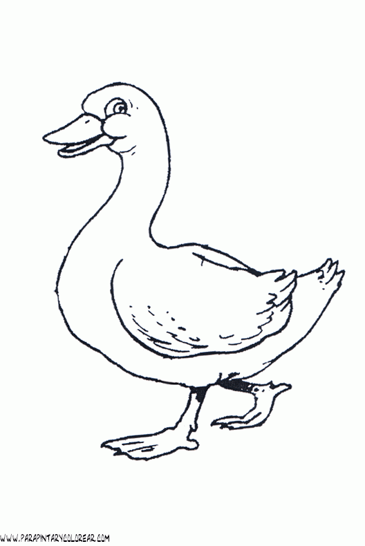 dibujos-de-patos-10.gif