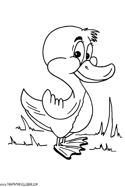 dibujos-de-patos-16.gif