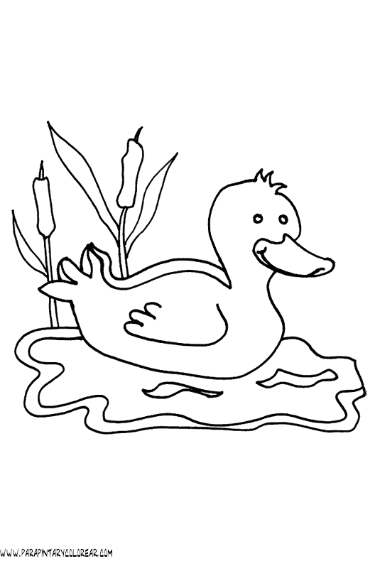 dibujos-de-patos-17.gif