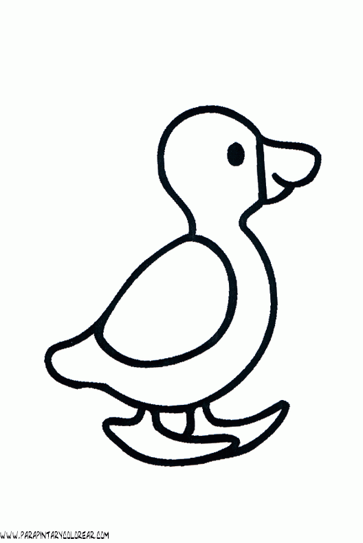 dibujos-de-patos-30.gif