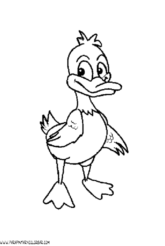 dibujos-de-patos-43.gif