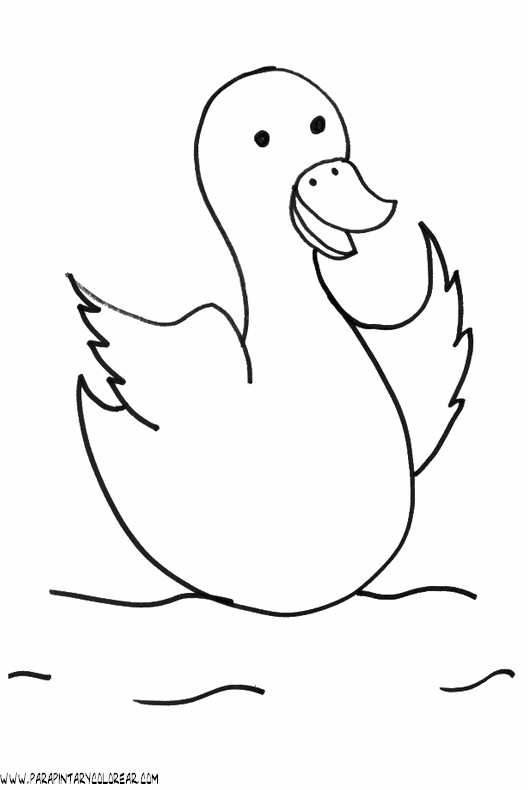 dibujos-de-patos-56.gif