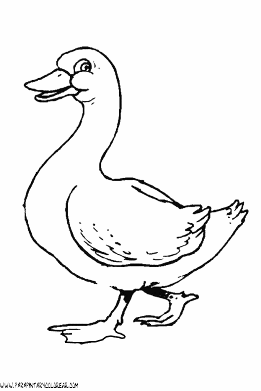 dibujos-de-patos-61.gif